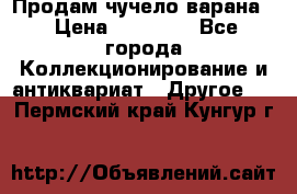 Продам чучело варана. › Цена ­ 15 000 - Все города Коллекционирование и антиквариат » Другое   . Пермский край,Кунгур г.